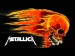 Znak Metallica
